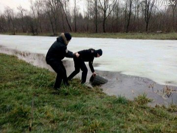 Смітники — в канаві: у луцькому парку похуліганили вандали. ФОТО