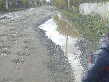 Три кілометри бездоріжжям: на Волині діти йдуть на навчання по багнюці. ФОТО