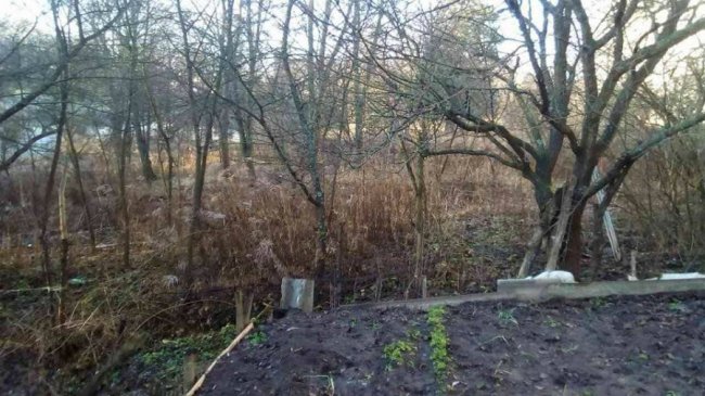 У Луцьку муніципали чистять берег Сапалаївки від старих парканів. ФОТО