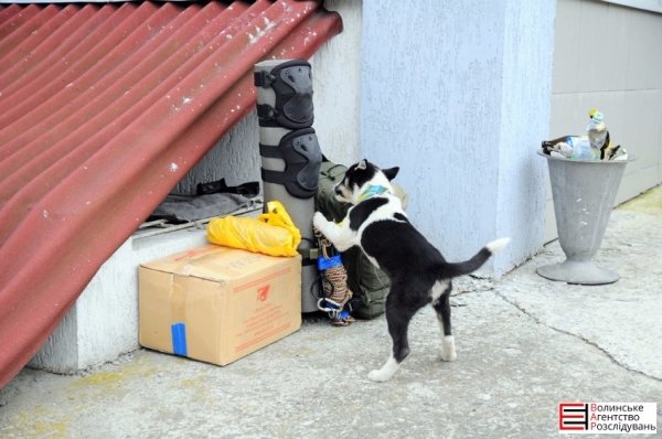 Бійці «Світязя» повернулися з ротації без втрат. ФОТО