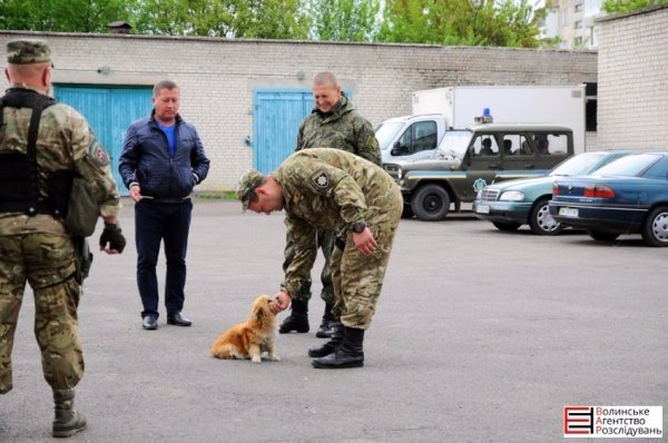 Бійці «Світязя» повернулися з ротації без втрат. ФОТО