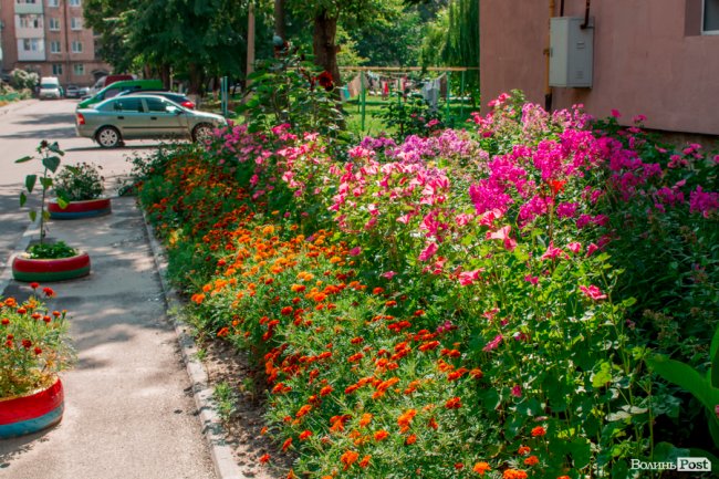 Там, де розвертаються тролейбуси: як живе 40-ий мікрорайон Луцька