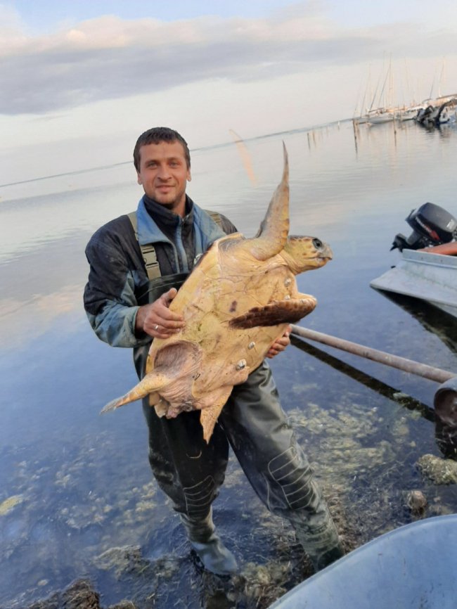 На Херсонщині рибалки впіймали величезну черепаху. ФОТО