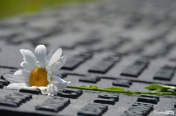 У Луцьку вшанували пам'ять жертв війни. ФОТО