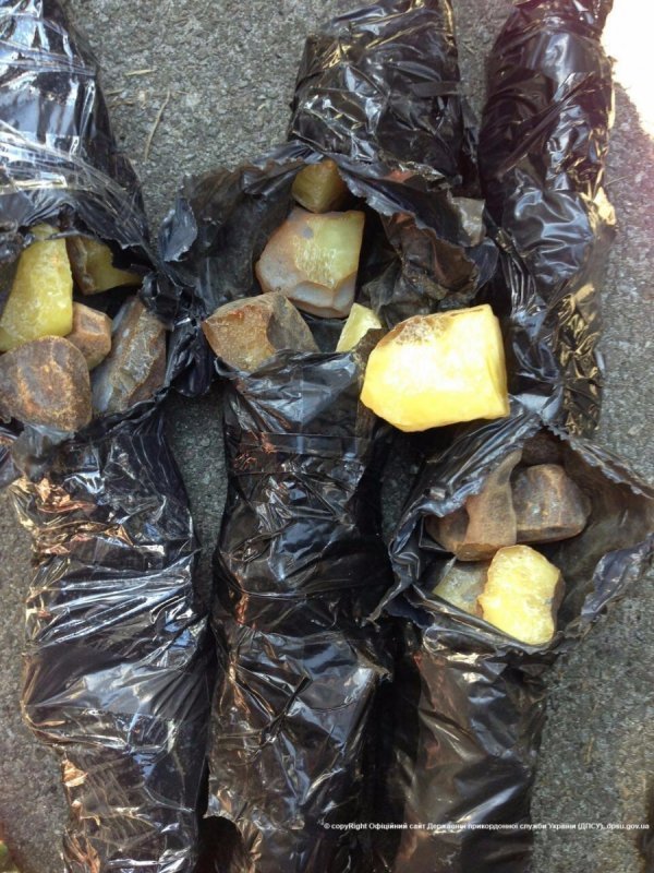 Разом з бурштином у чоловіка вилучили авто вартістю майже в 300 тисяч. ФОТО. ВІДЕО