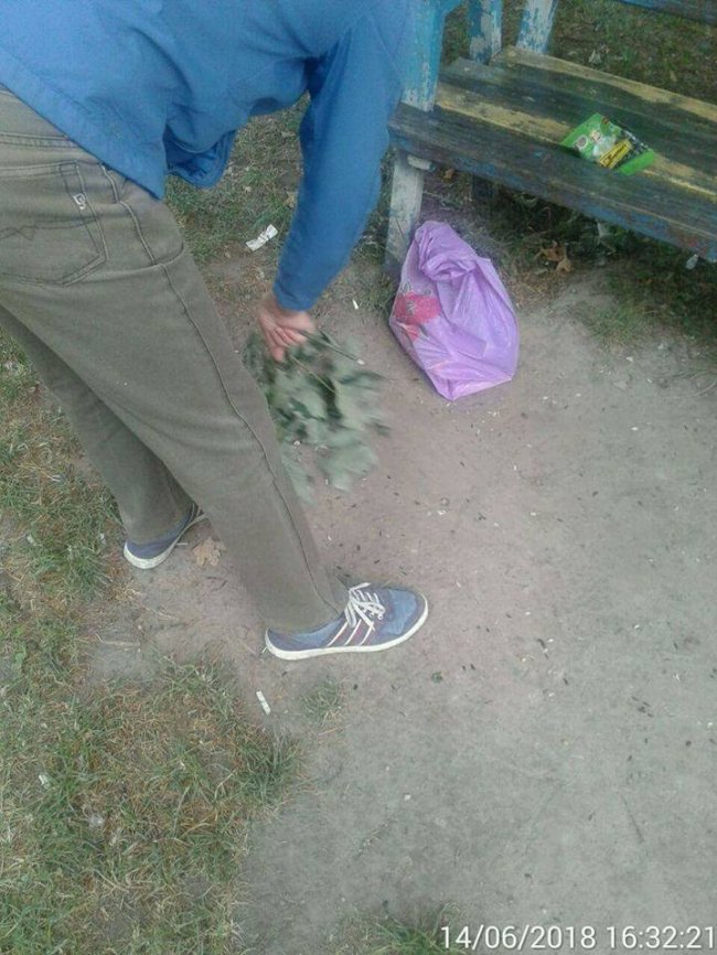 Насмітив – прибери: лучан змусили прибрати «напльоване»  лушпиння