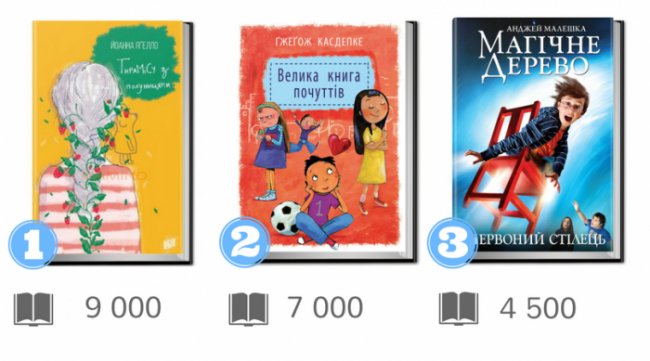Українські видавці назвали бестселери 2017 року