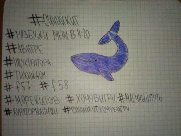 До уваги батьків: поради психолога щодо гри смерті «Синій кит»