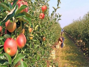 Українцям стало простіше офіційно влаштуватися на роботу в Польщі*