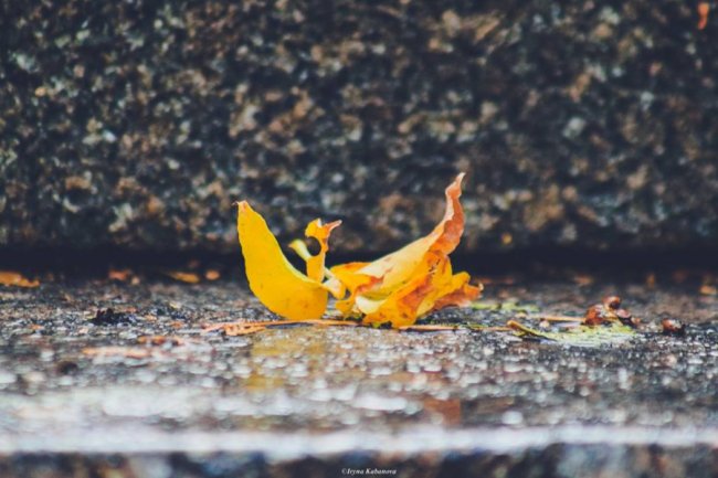 Пора шарфів та теплих розмов за кавою: осінь у Луцьку. ФОТО