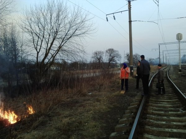 Волинянина притягнули до відповідальності за підпал сухої трави. ФОТО