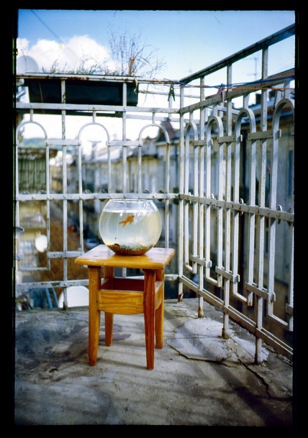 Фотовиставка Юлії Ткаченко