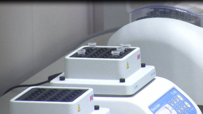 В Україні – лише 8 лабораторій: волинські поліцейські почали проводити ДНК-експертизу. ВІДЕО