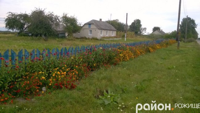 Рання осінь у волинському селі. ФОТО