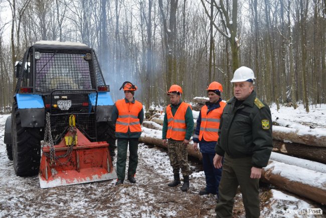 Жнива у зимовому лісі: як на Волині заготовляють деревину. ФОТО