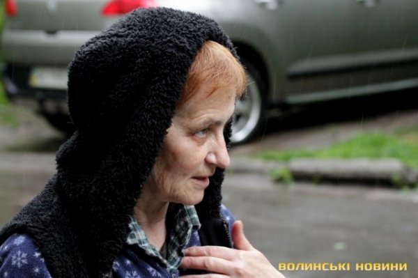 Відлов собак у Луцьку: рушниці, чіпи та гроші. ФОТО