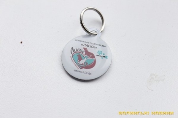 Відлов собак у Луцьку: рушниці, чіпи та гроші. ФОТО