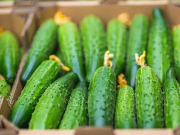 Дорогі овочі: в Україні тепличні огірки різко зросли в ціні