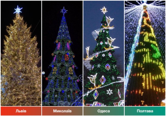 Луцька ялинка може стати найкращою в Україні