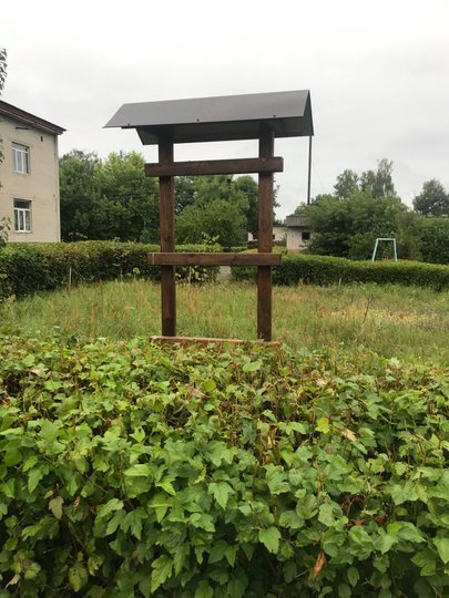 У селі Світязь вчителька хімії створює дендропарк. ФОТО