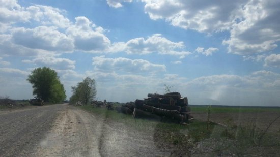 У Ковельському районі незаконно вирубали дерева вздовж дороги?