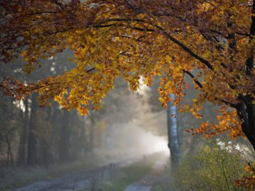 Погода в Луцьку та Волинській області на четвер, 26 вересня