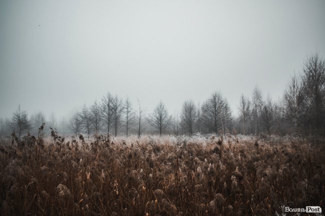 Туманно-сіра краса у Луцьку. ФОТО