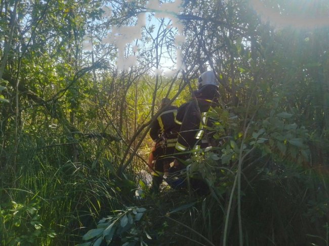 На Волині чоловік застряг у болоті – його врятували