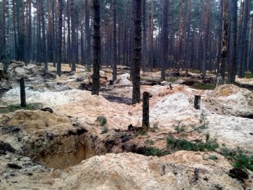Як на Волині «розвалюються» справи щодо копачів бурштину