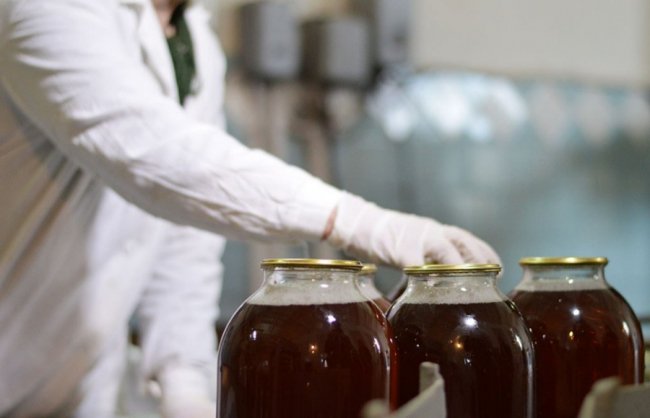 Із позначкою «органік»: березовий сік з Волині п'ють навіть у США. ФОТО