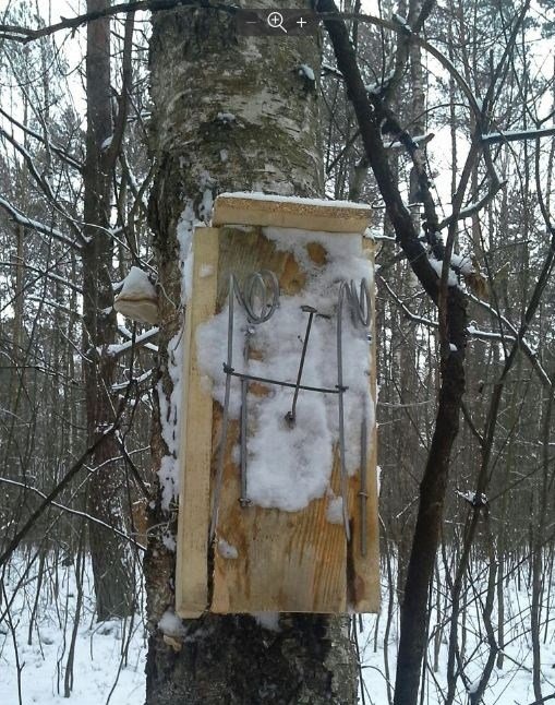 Кількох волинян спіймали на незаконному полюванні