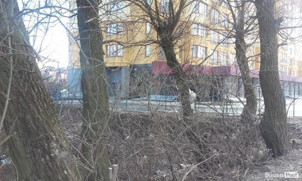 Лучани перетворюють місто на смітник. ФОТО