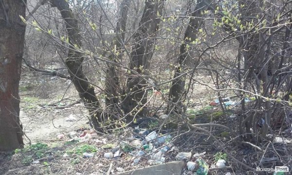 Лучани перетворюють місто на смітник. ФОТО