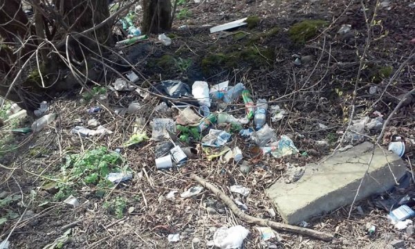 Лучани перетворюють місто на смітник. ФОТО