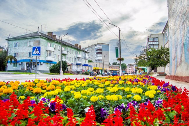 У місті шахтарів на Волині висадили сто тисяч квітів
