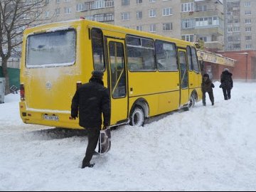 У Луцьку через мороз на рейси вийшли не всі маршрутки та тролейбуси