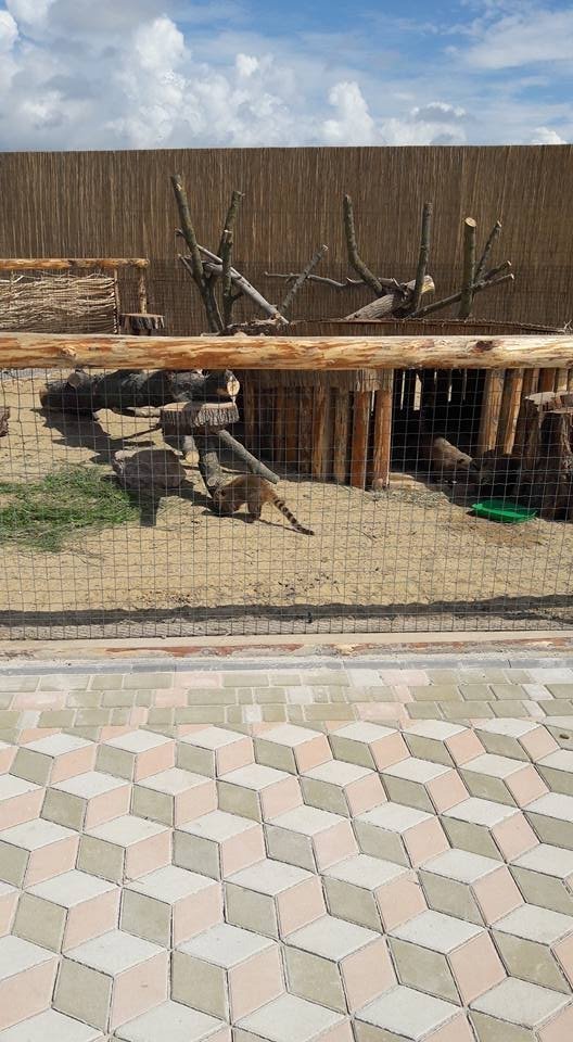 Вольєри без кордонів: чим відрізняється Одеський біопарк від Луцького зоопарку. ФОТО