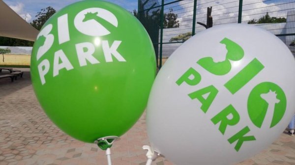 Вольєри без кордонів: чим відрізняється Одеський біопарк від Луцького зоопарку. ФОТО