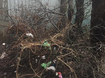 Лучани викидають сміття просто з вікон, – соцмережі. ФОТО