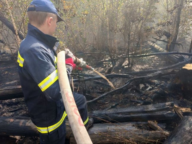 На Волині третю добу поспіль гасять лісову пожежу. ВІДЕО