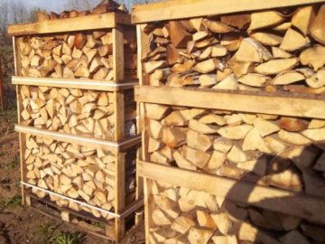 Савченко не вірить, що в Європу експортують дрова