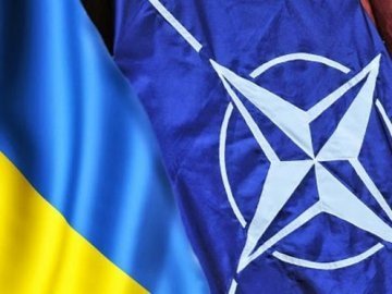 Депутати відхилили законопроект про інтеграцію України в НАТО