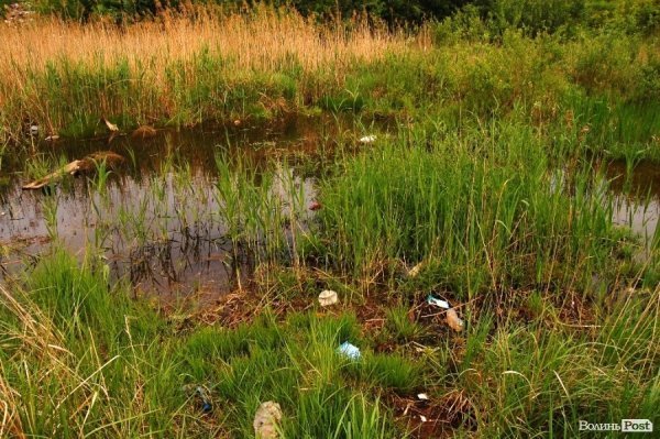 У Луцьку величезне сміттєзвалище «не помічають» більше 10 років