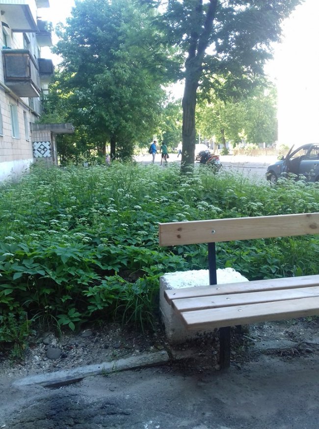 «Суцільний чагарник», – волинянка про своє місто. ФОТО