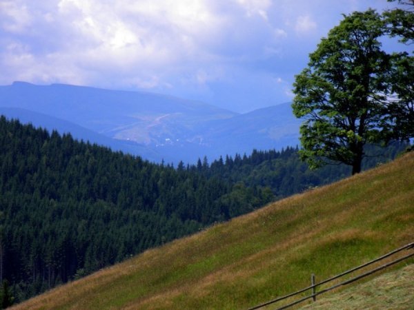  Автор - Ромек Павлюк 