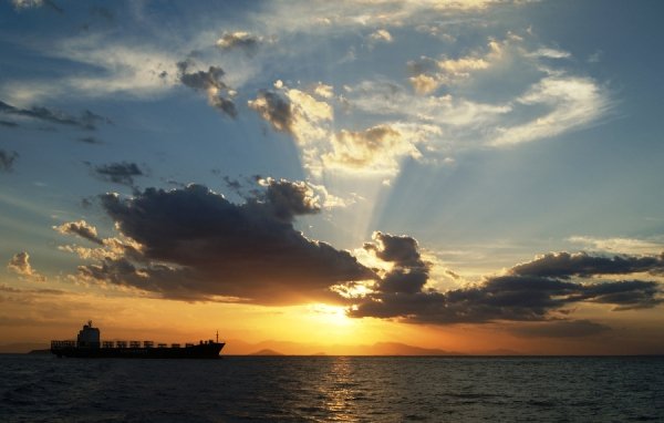 Автор - Сагієнко Юлія