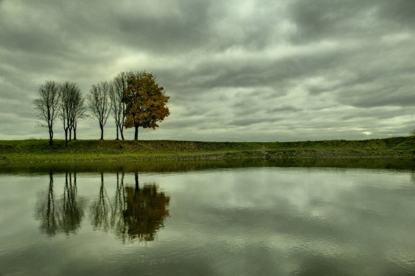 Автор - Володимир Ярош