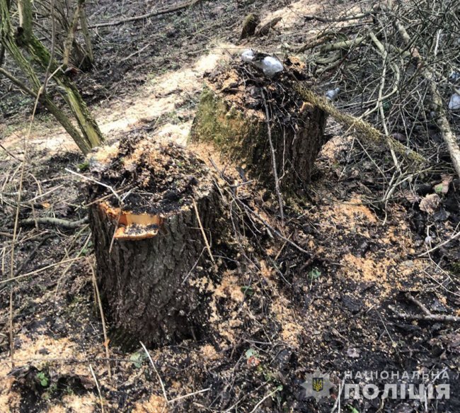 На Волині поліцейський зловив браконьєра, який завдав збитків на 150 тисяч