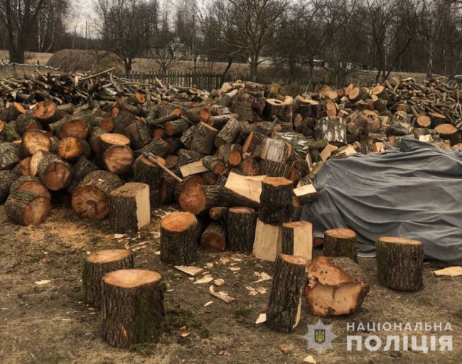 На Волині поліцейський зловив браконьєра, який завдав збитків на 150 тисяч