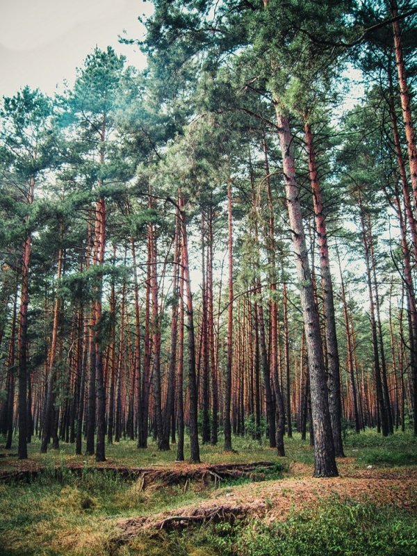 Фотовиставка Тараса Маркіна